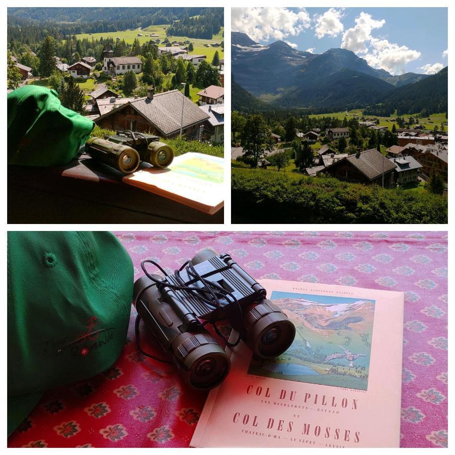 Studio Avec Vue Splendide Sur Les Diablerets Dış mekan fotoğraf