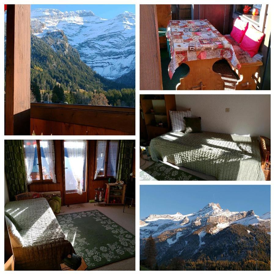 Studio Avec Vue Splendide Sur Les Diablerets Dış mekan fotoğraf